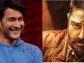 Kamal Haasan's 'Vikram' - a modern cult classic, says Mahesh Babu - Hindi News | Kamal Haasan's 'Vikram' - a modern cult classic, says Mahesh Babu | Latest entertainment News at Lokmattimes.com