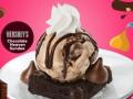 Double the fun with Baskin Robbins and Hershey's - Hindi News | Double the fun with Baskin Robbins and Hershey's | Latest lifestyle News at Lokmattimes.com