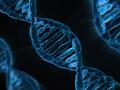 Our genes may influence depression to bipolar disorder, schizophrenia: Study - Hindi News | Our genes may influence depression to bipolar disorder, schizophrenia: Study | Latest international News at Lokmattimes.com