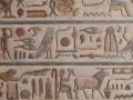 Restoration of ancient temple in Egypt built by Greeks reveals stunning drawings in bright colours - Hindi News | Restoration of ancient temple in Egypt built by Greeks reveals stunning drawings in bright colours | Latest national News at Lokmattimes.com