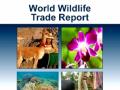 Asia, Europe top global wildlife trade regions: CITES first-ever report - Hindi News | Asia, Europe top global wildlife trade regions: CITES first-ever report | Latest international News at Lokmattimes.com