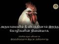 PETA erects billboard memorialising chickens killed in poultry farm blaze in TN - Hindi News | PETA erects billboard memorialising chickens killed in poultry farm blaze in TN | Latest national News at Lokmattimes.com
