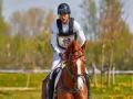 SAI officials interact with equestrian players regarding Asian Games selections - Hindi News | SAI officials interact with equestrian players regarding Asian Games selections | Latest other-sports News at Lokmattimes.com
