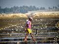 Trade deal with US to hit poor Bangladesh farmers: Expert - Hindi News | Trade deal with US to hit poor Bangladesh farmers: Expert | Latest international News at Lokmattimes.com