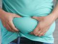 Study finds gut bacteria that protects against diabetes, obesity - Hindi News | Study finds gut bacteria that protects against diabetes, obesity | Latest international News at Lokmattimes.com