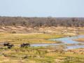 South Africa's Kruger park partly closed due to heavy rains - Hindi News | South Africa's Kruger park partly closed due to heavy rains | Latest politics News at Lokmattimes.com