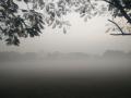 Fog covers partial solar eclipse in Delhi - Hindi News | Fog covers partial solar eclipse in Delhi | Latest national News at Lokmattimes.com
