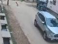 Child run over by car has a miraculous escape - Hindi News | Child run over by car has a miraculous escape | Latest national News at Lokmattimes.com