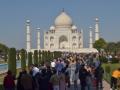 Tourists at the Taj Mahal are scared of simian attacks - Hindi News | Tourists at the Taj Mahal are scared of simian attacks | Latest national News at Lokmattimes.com