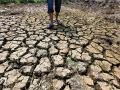 Drought looms over Kerala as August sees 90% rain deficit in the state - Hindi News | Drought looms over Kerala as August sees 90% rain deficit in the state | Latest national News at Lokmattimes.com