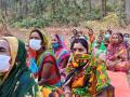 Odisha women with stick & undying resolve lead as Green Warriors - Hindi News | Odisha women with stick & undying resolve lead as Green Warriors | Latest national News at Lokmattimes.com