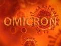 Omicron not result of recombination between previous variants: Study - Hindi News | Omicron not result of recombination between previous variants: Study | Latest health News at Lokmattimes.com