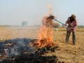 Centre's affidavit on air pollution in SC points at contradictions on stubble burning - Hindi News | Centre's affidavit on air pollution in SC points at contradictions on stubble burning | Latest politics News at Lokmattimes.com