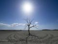 Megadrought in US worst in 1,200 years: Study - Hindi News | Megadrought in US worst in 1,200 years: Study | Latest politics News at Lokmattimes.com