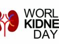 Lifestyle changes help to prevent kidney diseases: Experts - Hindi News | Lifestyle changes help to prevent kidney diseases: Experts | Latest health News at Lokmattimes.com