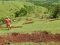 Maharashtra village takes afforestation up a notch - Hindi News | Maharashtra village takes afforestation up a notch | Latest national News at Lokmattimes.com