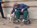 Dog waits outside Turkish hospital for days for owner - Hindi News | Dog waits outside Turkish hospital for days for owner | Latest lifestyle News at Lokmattimes.com