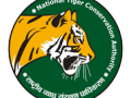 Rajasthan: NTCA declares Kumbhalgarh as tiger reserve - Hindi News | Rajasthan: NTCA declares Kumbhalgarh as tiger reserve | Latest politics News at Lokmattimes.com