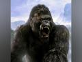'King Kong' live-action series in works - Hindi News | 'King Kong' live-action series in works | Latest entertainment News at Lokmattimes.com