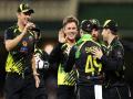 Zampa, Smith and Starc back in business for Aussies in the Zimbabwe tour - Hindi News | Zampa, Smith and Starc back in business for Aussies in the Zimbabwe tour | Latest cricket News at Lokmattimes.com