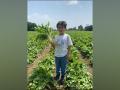 Taimur Ali Khan goes farming with mom Kareena - Hindi News | Taimur Ali Khan goes farming with mom Kareena | Latest entertainment News at Lokmattimes.com