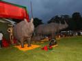 Assam: 3 Rhino statues made from burnt horns stand tall at Kaziranga - Hindi News | Assam: 3 Rhino statues made from burnt horns stand tall at Kaziranga | Latest national News at Lokmattimes.com