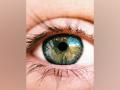 Study discovers how adult brain has the capacity to partially recover from hereditary blindness - Hindi News | Study discovers how adult brain has the capacity to partially recover from hereditary blindness | Latest health News at Lokmattimes.com