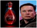 Elon Musk launches new 'Burnt Hair' perfume - Hindi News | Elon Musk launches new 'Burnt Hair' perfume | Latest entertainment News at Lokmattimes.com