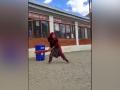Watch: "Virat Kohli" wannabe schoolgirl from Ladakh bats like pro - Hindi News | Watch: "Virat Kohli" wannabe schoolgirl from Ladakh bats like pro | Latest cricket News at Lokmattimes.com