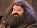 'Harry Potter' actor Robbie Coltrane's cause of death revealed - Hindi News | 'Harry Potter' actor Robbie Coltrane's cause of death revealed | Latest entertainment News at Lokmattimes.com