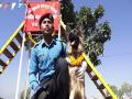 Nepal Police honours best performing service dogs on "Day of Dog" - Hindi News | Nepal Police honours best performing service dogs on "Day of Dog" | Latest international News at Lokmattimes.com