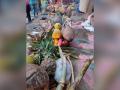 Chhath Puja 2022: Traditonal dishes prepared during the 4-day festival - Hindi News | Chhath Puja 2022: Traditonal dishes prepared during the 4-day festival | Latest lifestyle News at Lokmattimes.com