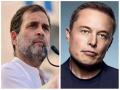 Rahul Gandhi hopes Twitter will "act against hate speech" as he congratulates Elon Musk - Hindi News | Rahul Gandhi hopes Twitter will "act against hate speech" as he congratulates Elon Musk | Latest national News at Lokmattimes.com