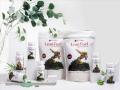Jollywell launches new range of clean plant-based supplements - Hindi News | Jollywell launches new range of clean plant-based supplements | Latest business News at Lokmattimes.com