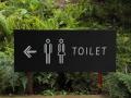 World Toilet Day 2022: All you need to know about this day! - Hindi News | World Toilet Day 2022: All you need to know about this day! | Latest health News at Lokmattimes.com