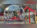 Celebrate the festive season with the return of Ferrari World Abu Dhabi's Winterfest and Warner Bros. World™ Abu Dhabi's Winter Spectacular - Hindi News | Celebrate the festive season with the return of Ferrari World Abu Dhabi's Winterfest and Warner Bros. World™ Abu Dhabi's Winter Spectacular | Latest business News at Lokmattimes.com