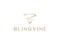 Blingvine updates Bridal Jewellery Collection with fan-favourite statement necklace sets - Hindi News | Blingvine updates Bridal Jewellery Collection with fan-favourite statement necklace sets | Latest business News at Lokmattimes.com