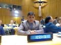 United Nations: CNRI Calls for Framework of Collaborative Governance to Resolve Global Crisis - Hindi News | United Nations: CNRI Calls for Framework of Collaborative Governance to Resolve Global Crisis | Latest business News at Lokmattimes.com