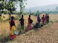 Jharkhand: Villagers forced to collect water from pits - Hindi News | Jharkhand: Villagers forced to collect water from pits | Latest national News at Lokmattimes.com