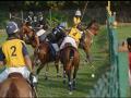 Jodhpur Polo Season 23 commences with full zeal - Hindi News | Jodhpur Polo Season 23 commences with full zeal | Latest other-sports News at Lokmattimes.com