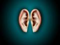 Study advances approaches for long-term hearing loss treatment - Hindi News | Study advances approaches for long-term hearing loss treatment | Latest technology News at Lokmattimes.com