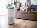Demand for air purifiers jumps 1.4x growth in November over last year with onset of winter: Flipkart - Hindi News | Demand for air purifiers jumps 1.4x growth in November over last year with onset of winter: Flipkart | Latest business News at Lokmattimes.com