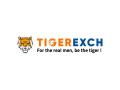 Tiger Exchange News are official sponsors of Dambulla Aura in the ongoing Lanka Premier League T20 - Hindi News | Tiger Exchange News are official sponsors of Dambulla Aura in the ongoing Lanka Premier League T20 | Latest business News at Lokmattimes.com