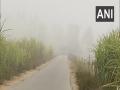 Punjab: Dense fog condition continue to prevail in Pathankot - Hindi News | Punjab: Dense fog condition continue to prevail in Pathankot | Latest national News at Lokmattimes.com