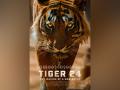 AA Films picks up Warren Pereira's Award Winning Conservation Documentary 'Tiger 24' for Theatrical distribution - Hindi News | AA Films picks up Warren Pereira's Award Winning Conservation Documentary 'Tiger 24' for Theatrical distribution | Latest business News at Lokmattimes.com