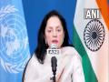 "Consistently called for cessation of hostilities": Kamboj on India playing mediatory role to resolve Russia-Ukraine conflict - Hindi News | "Consistently called for cessation of hostilities": Kamboj on India playing mediatory role to resolve Russia-Ukraine conflict | Latest international News at Lokmattimes.com