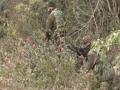 Jammu and Kashmir: Police carry out search operation after terrorists' encounter - Hindi News | Jammu and Kashmir: Police carry out search operation after terrorists' encounter | Latest national News at Lokmattimes.com