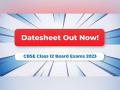 CBSE Class 12 Board Exams 2023: Datesheet Out! Ultimate Checklist with Do's and Don'ts to Prepare and Revise - Hindi News | CBSE Class 12 Board Exams 2023: Datesheet Out! Ultimate Checklist with Do's and Don'ts to Prepare and Revise | Latest business News at Lokmattimes.com