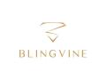 The Unique Business Strategy That Helped Blingvine Reach 1 Lakh Customers - Hindi News | The Unique Business Strategy That Helped Blingvine Reach 1 Lakh Customers | Latest business News at Lokmattimes.com