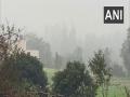 Cold wave grip over north India to continue into next week, fog delays 26 trains - Hindi News | Cold wave grip over north India to continue into next week, fog delays 26 trains | Latest national News at Lokmattimes.com